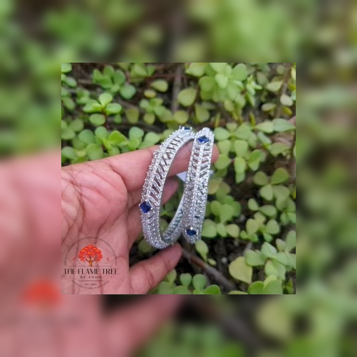Luxury AD Zircon Designer Bangles Set
